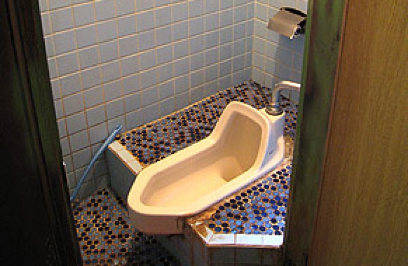 高齢のためしゃがめなくなったので和式トイレを洋式トイレに替えた住宅改修