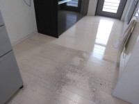 フロアのコーティング✨