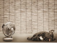 窓のリフォームで熱中症対策☀