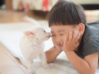 ペット用耐水フロアって何?