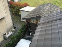 前略、屋根の上より。