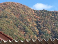 ちょっと、ドライブ?